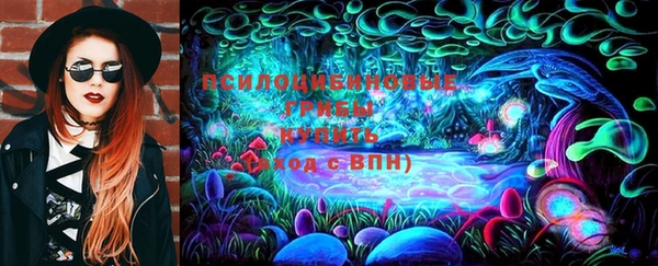 дживик Белокуриха