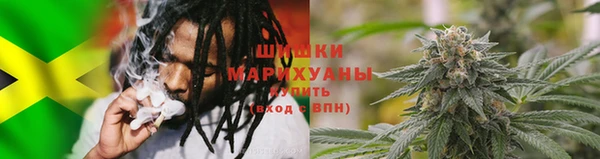 дживик Белокуриха