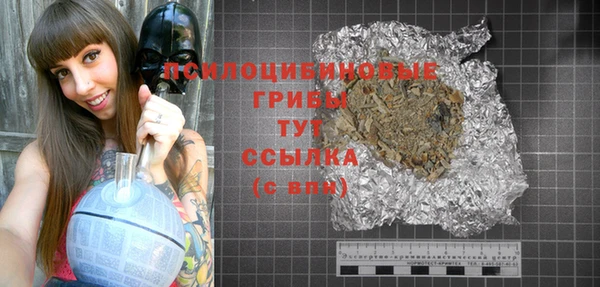 дживик Белокуриха