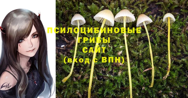 дживик Белокуриха