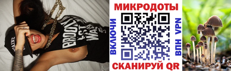 Галлюциногенные грибы Psilocybine cubensis  Шатура 